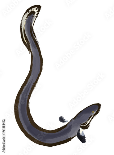 水彩風、筆タッチの上向きポーズのうなぎのイラスト