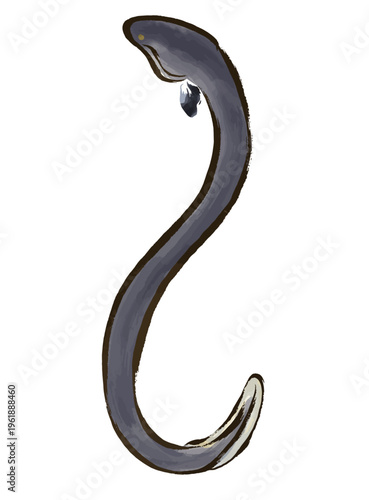 水彩風、筆タッチの横向きポーズのうなぎのイラスト