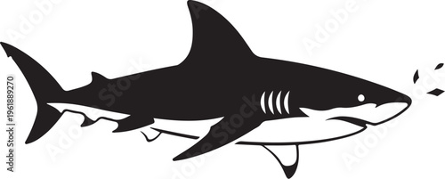 Black and white shark swimming in the ocean water