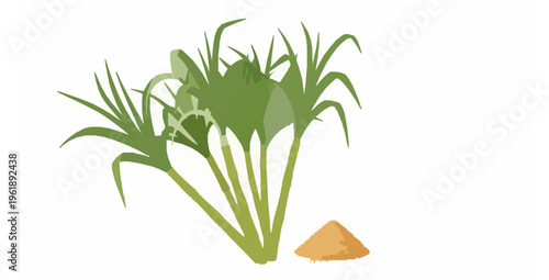 Sugar cane stalks with leaves and brown sugar flat vector illustration isolated
