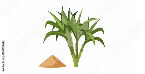 Sugar cane and brown sugar vector illustration flat design isolated