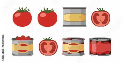 Assorted fresh and canned tomatoes vector illustration flat design isolated