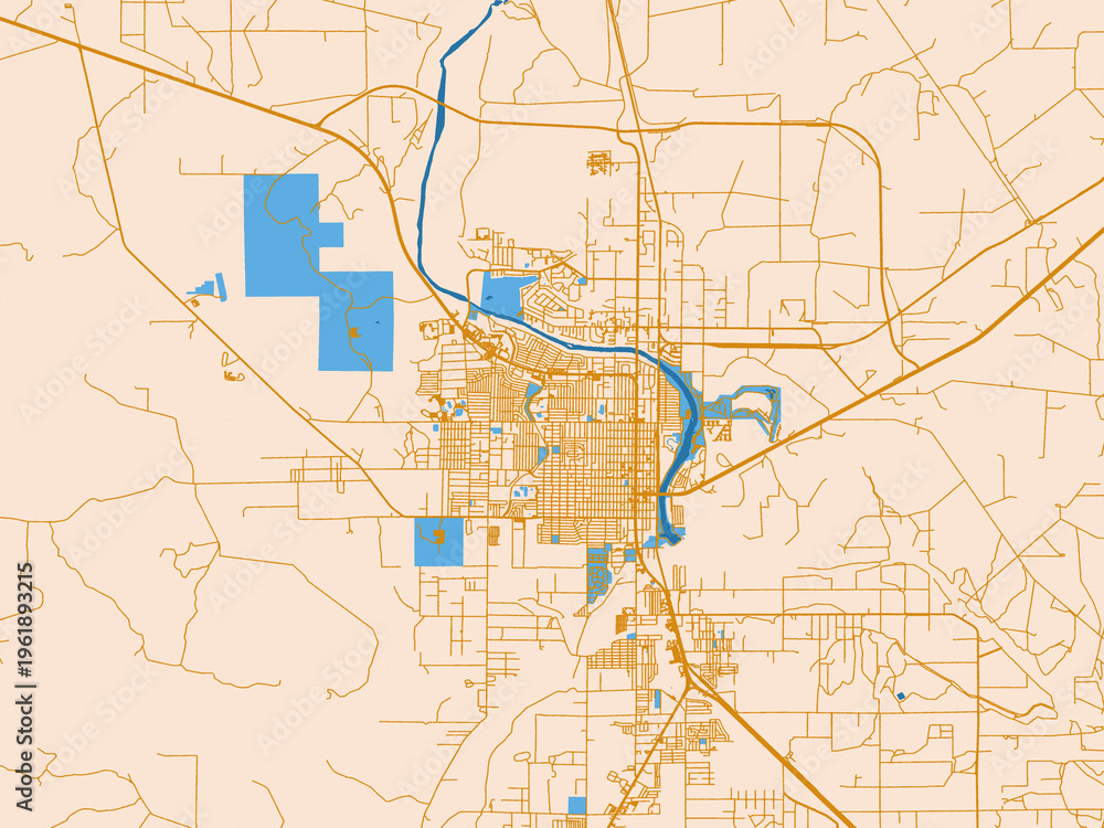 Fototapeta premium Urban cartographic illustration — Carlsbad, New Mexico