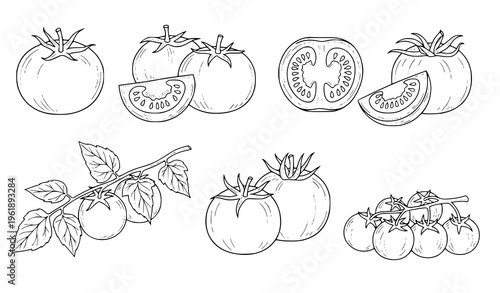 A detailed illustration of various tomato types and their presentation