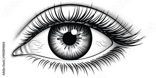 Human eye illustration, black and white artwork with detailed iris pupil eyelashes anatomical accuracy expressive design vector