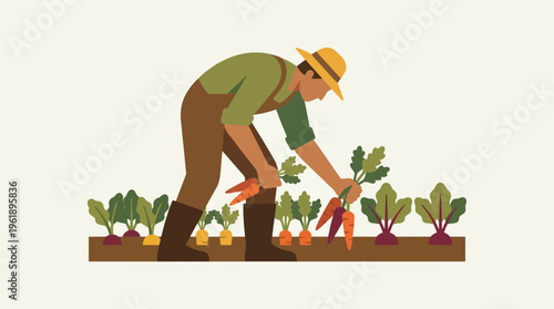 Minimalist vector icon agriculture illustration of a farmer harvesting fresh carrots and beets from a garden plot