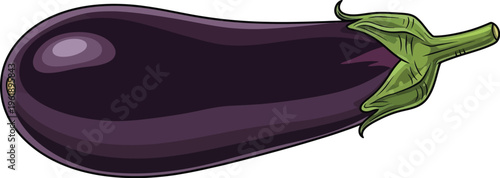 One smooth dark purple eggplant vegetable rests horizontally against a.