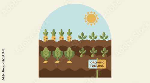 Flat design organic farming icon illustration with a sun and rows of vegetables grown in soil