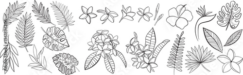 set of floral hand drawn elements. vector illustration