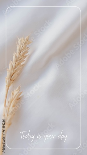 White Aesthetic Motivational Phone Wallpaper 