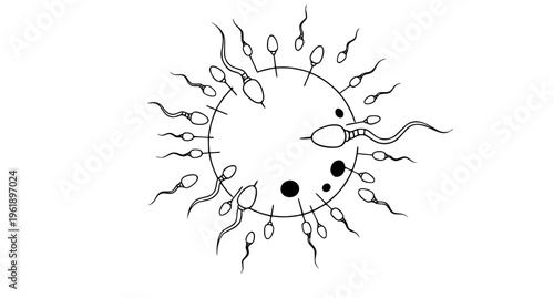 Human Ovum and Sperm Fertilization Reproduction Vector Icon for Fertility Clinic