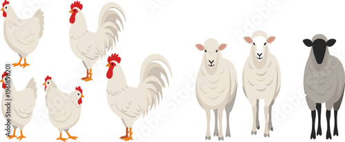 Illustration of Roosters, Hens, and Sheep in Different Poses for Farm Animal Collection