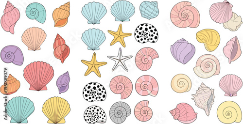 Seashells and starfish collection with colorful ocean shells, marine elements and beach themed decorative vector illustration set