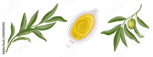 Olive oil and branch set top view vector hand drawn illustration. Italian food cartoon drawing for cafe menu and restaurant template. Isolated sauce boat drawing perfect for product packaging graphic.