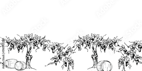 Leafy grapevine with tendrils and hanging ripe grape clusters on old trunks, wooden barrels on grass. Seamless banner. Hand drawn ink vector illustration. Wine packaging borders, signage, placemats