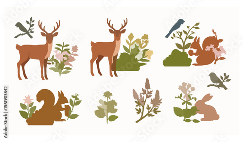 Vector Illustration Collection of Nocturnal Forest Life, Wildlife with Owls Bats Foxes Fireflies, Seasonal Changes, Medicinal Plants, Aquatic Habitats, and Fantasy Woodland Creatures for Kids and Eco 