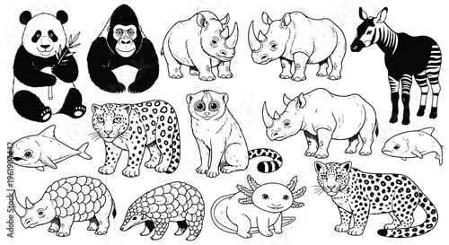 Wild animal vector set with panda gorilla rhinoceros okapi leopard axolotl pangolin and dolphin sketches.
