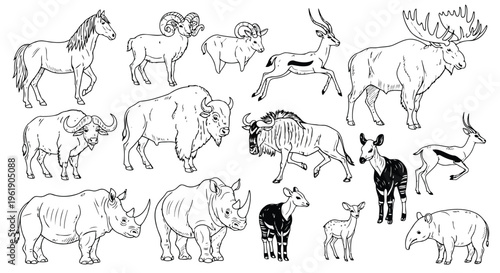 Diverse wild animals collection isolated on white background for nature and zoo vector art.
