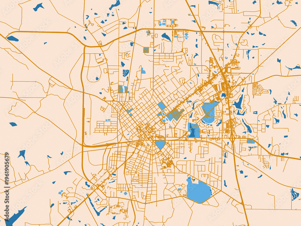 Fototapeta premium Thomasville, Georgia – urban map