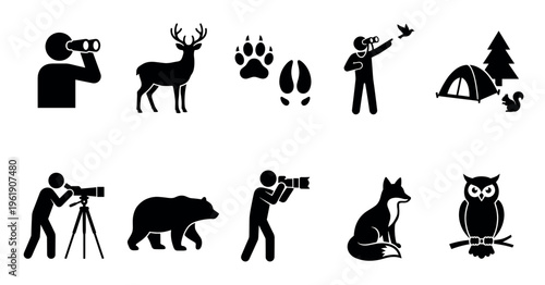 A collection of black vector icons depicting people observing wildlife, animals, camping, and photography in a clean, graphic style suitable for infographics or design elements.