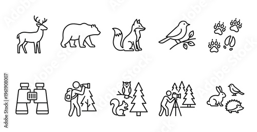 Collection of simple line art icons depicting forest animals, nature scenes, and outdoor activities, perfect for graphic design and informational content.
