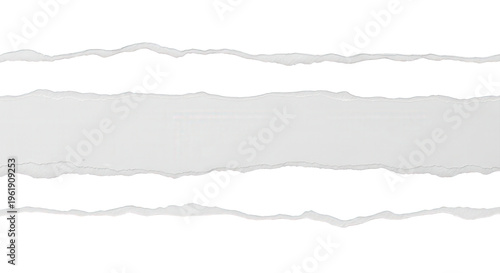 Torn paper background, ripped edges, gray and white texture
