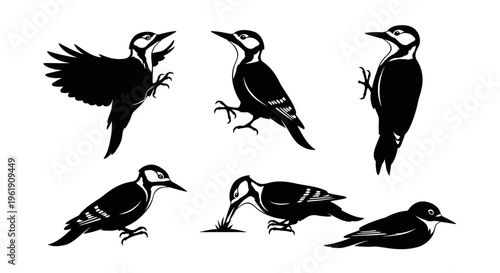 Woodpecker Silhouettes Collection: Diverse Poses of Forest Birds