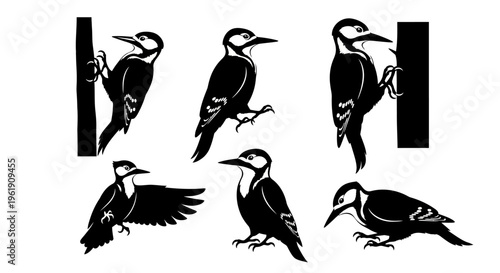 Woodpecker Silhouettes Collection: Climbing, Perching, and Flying Bird Illustrations