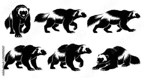 Wolverine Silhouette Set: Dynamic Poses of Ferocious Mammal