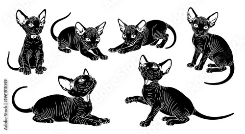 Set of Sphynx Cats in Various Poses, Black and White Line Art Illustration