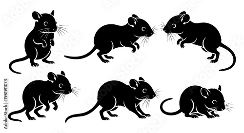 Set of Six Black Silhouettes of Mice or Rats Posed in Different Actions on White Background
