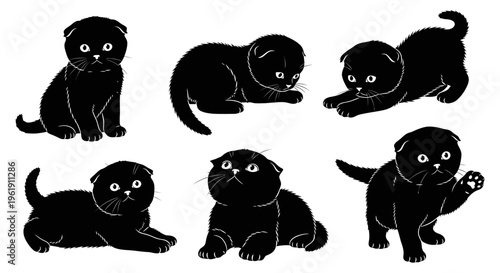 Set of six playful black Scottish Fold kittens in various cute poses, white background