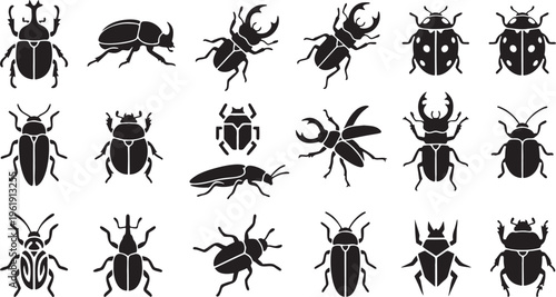 16 Beetle Silhouette Icons - Stag and Scarab Insect Vector Set.