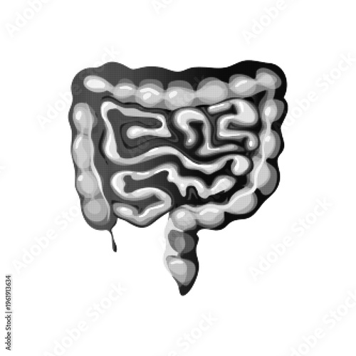 Minimal monochrome halftone illustration of human intestine, abstract digestive organ anatomy with dotted texture isolated on light background.