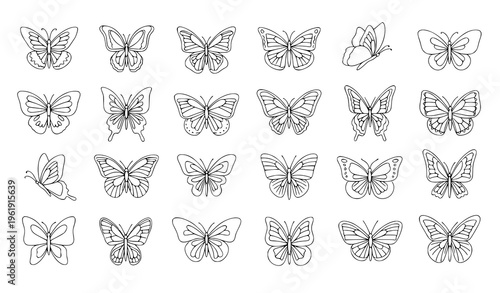 Collection of 20 unique butterfly line drawings in various poses and styles
