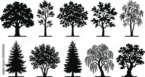 Tree silhouette set, diverse species icons including conifer, deciduous, willow, and broadleaf forms, botanical landscape theme - flat vector illustration
