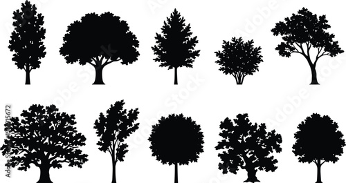 Tree silhouette set, diverse species icons including conifer, deciduous, willow, and broadleaf forms, botanical landscape theme - flat vector illustration