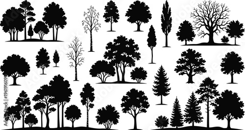 Tree silhouette set, diverse species icons, botanical and landscape design collection, nature morphology theme - flat vector illustration