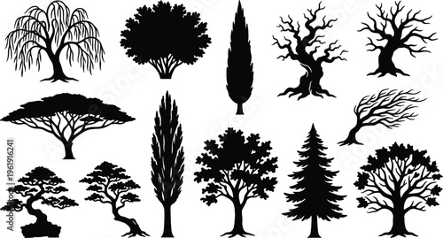 Tree silhouette vector illustration, twelve designs including willow, bonsai, conifer, acacia, and deciduous species for landscape, botanical, and artistic themes - flat vector illustration