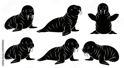 Set of Walrus Silhouettes in Various Poses, Black and White Vector Illustrations