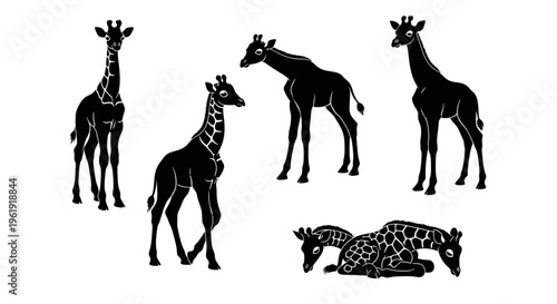 Silhouettes of Giraffes in Various Poses: Standing, Walking, and Resting