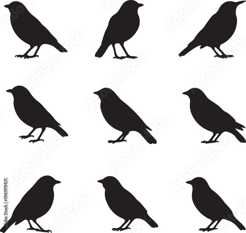 Nine black bird silhouettes in three rows on white background