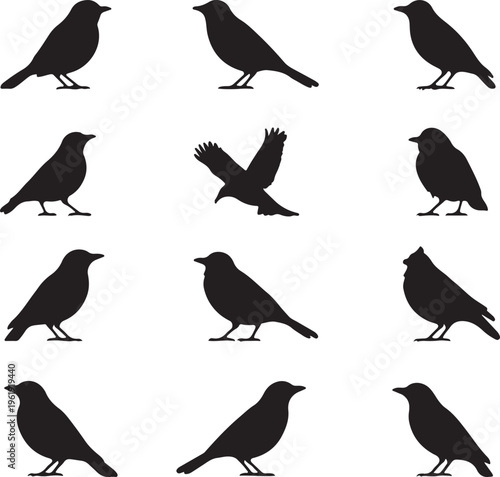 Collection of black bird silhouettes in various poses and flying