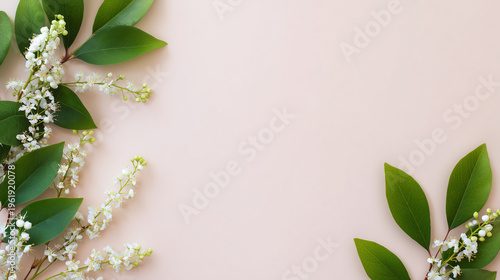 Soft Beige Spring Background with Green Leaves and White Blossoms Copy Space