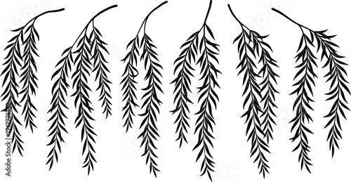 Willow branch illustration set, seven unique botanical designs with drooping elongated leaves showcasing graceful foliage - flat vector illustration