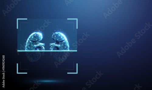 3d blue human kidneys inside digital scanning frame. Renal examination, kidney function analysis, urinary system diagnostics, disease detection, nephrology assessment concept.