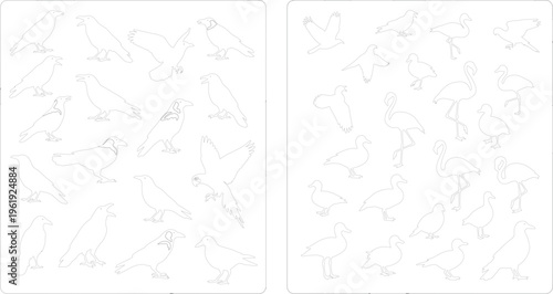 Bird outline collection with different species poses, minimal line art set of flying and standing birds for coloring pages, tattoo design and vector illustration