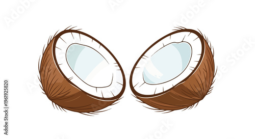 Illustration of two halved coconuts with brown husks and white interiors on a plain white background, highlighting the tropical fruit's texture and composition.