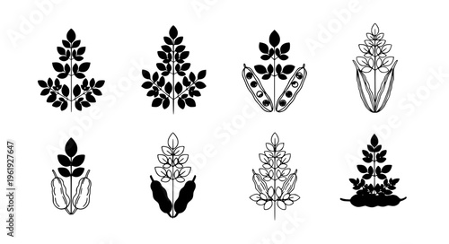 Minimal moringa vector logo icon set superfood EPS10 isolated on white