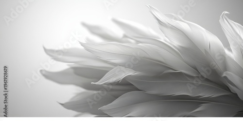 Mesmerizing Feathery Abstract Texture with Detailed White and Grey Pattern for Artistic Inspiration